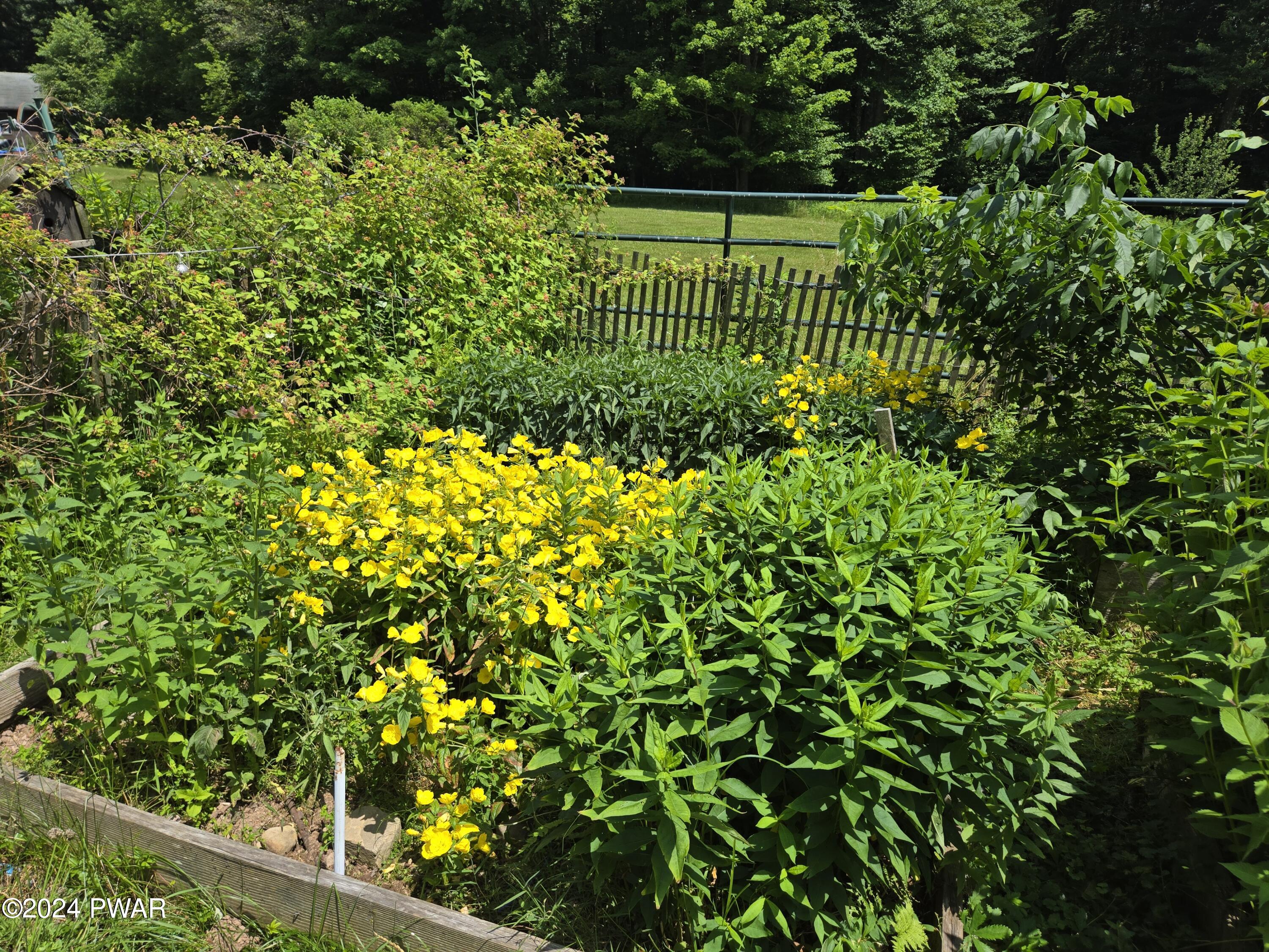 224 Old Racht Road Waymart, PA 18472 - Photo 29 of 39 a view of a garden with a plant