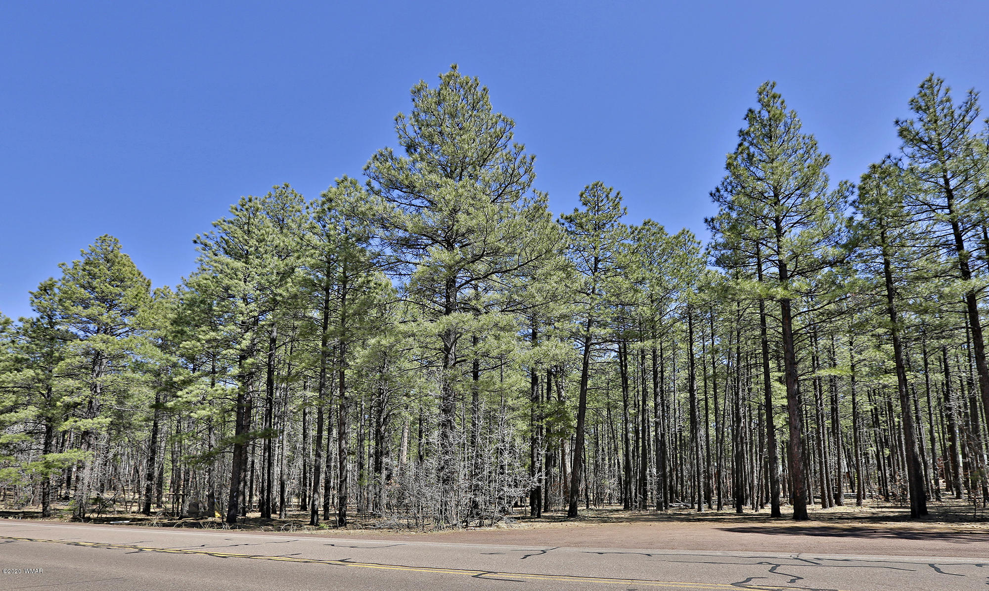 0 Buck Springs Road Pinetop, AZ 85935 - Photo 3 of 13