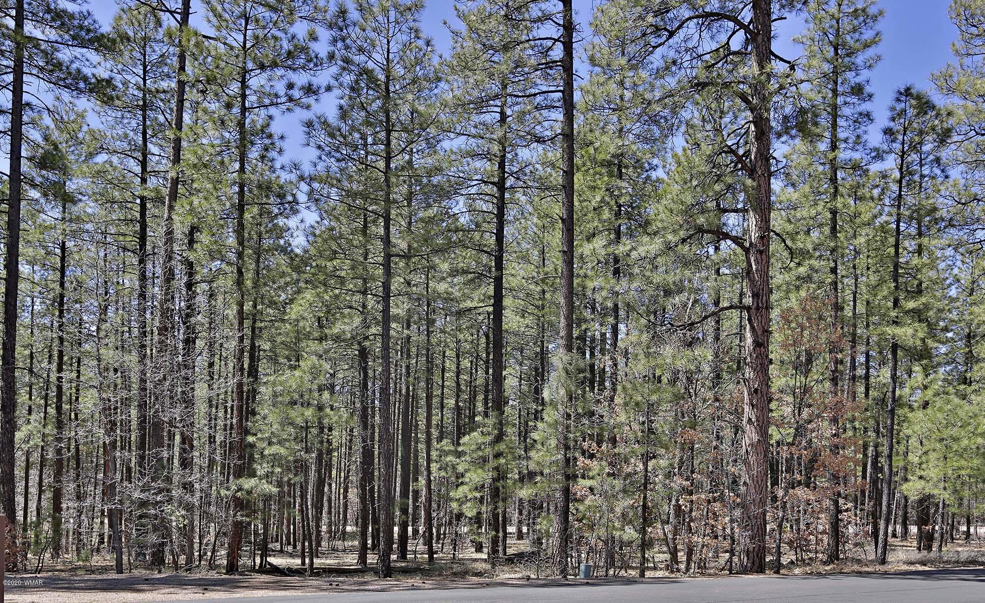 0 Buck Springs Road Pinetop, AZ 85935 - Photo 4 of 13