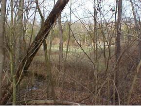 9097 Bath Road Brookville, IN 47012 - Photo 8 of 12 Gallery Image 8