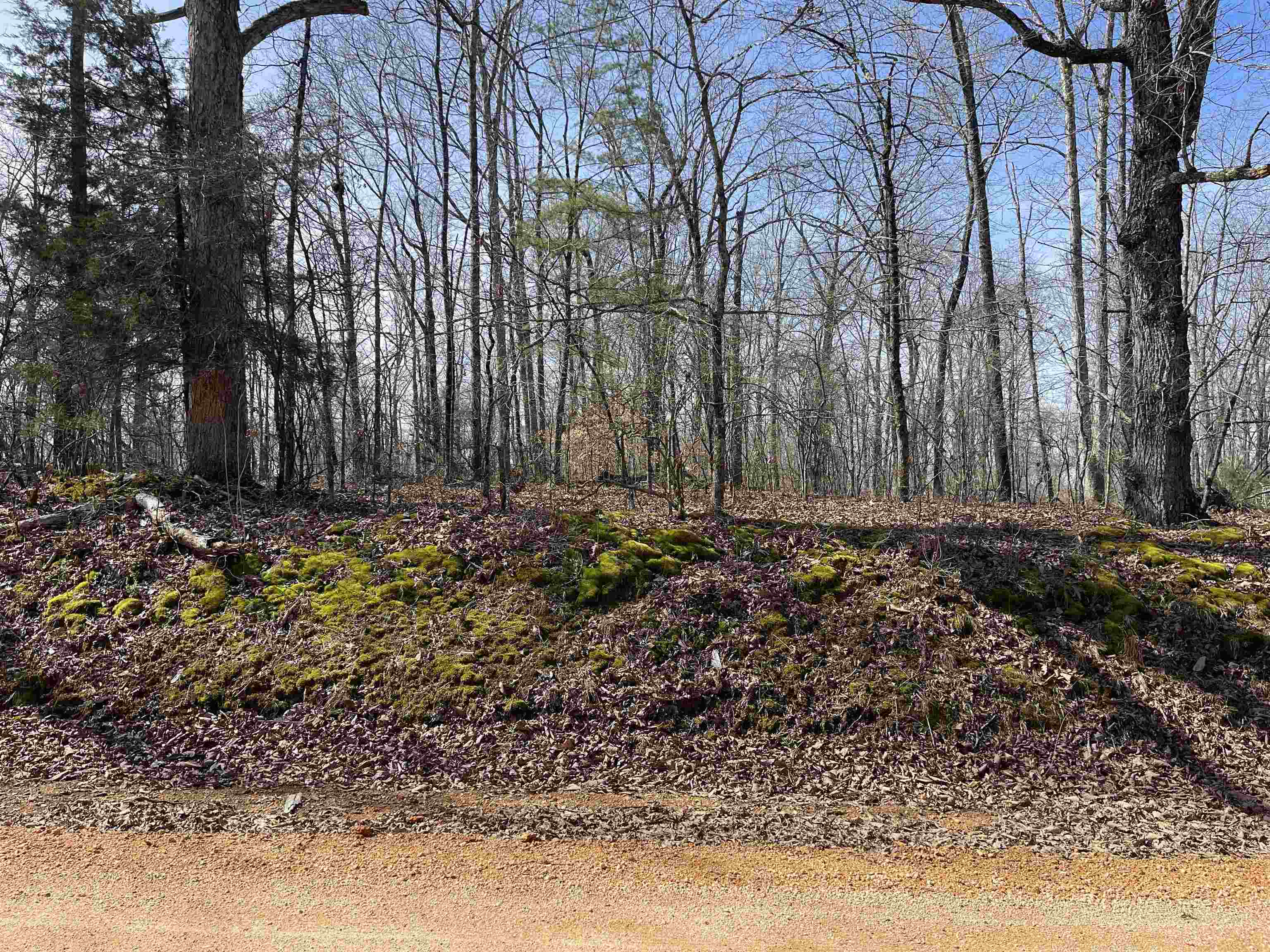 11 Liberty Road Morris Chapel, TN 38361 - Photo 3 of 20 Gallery Image 3