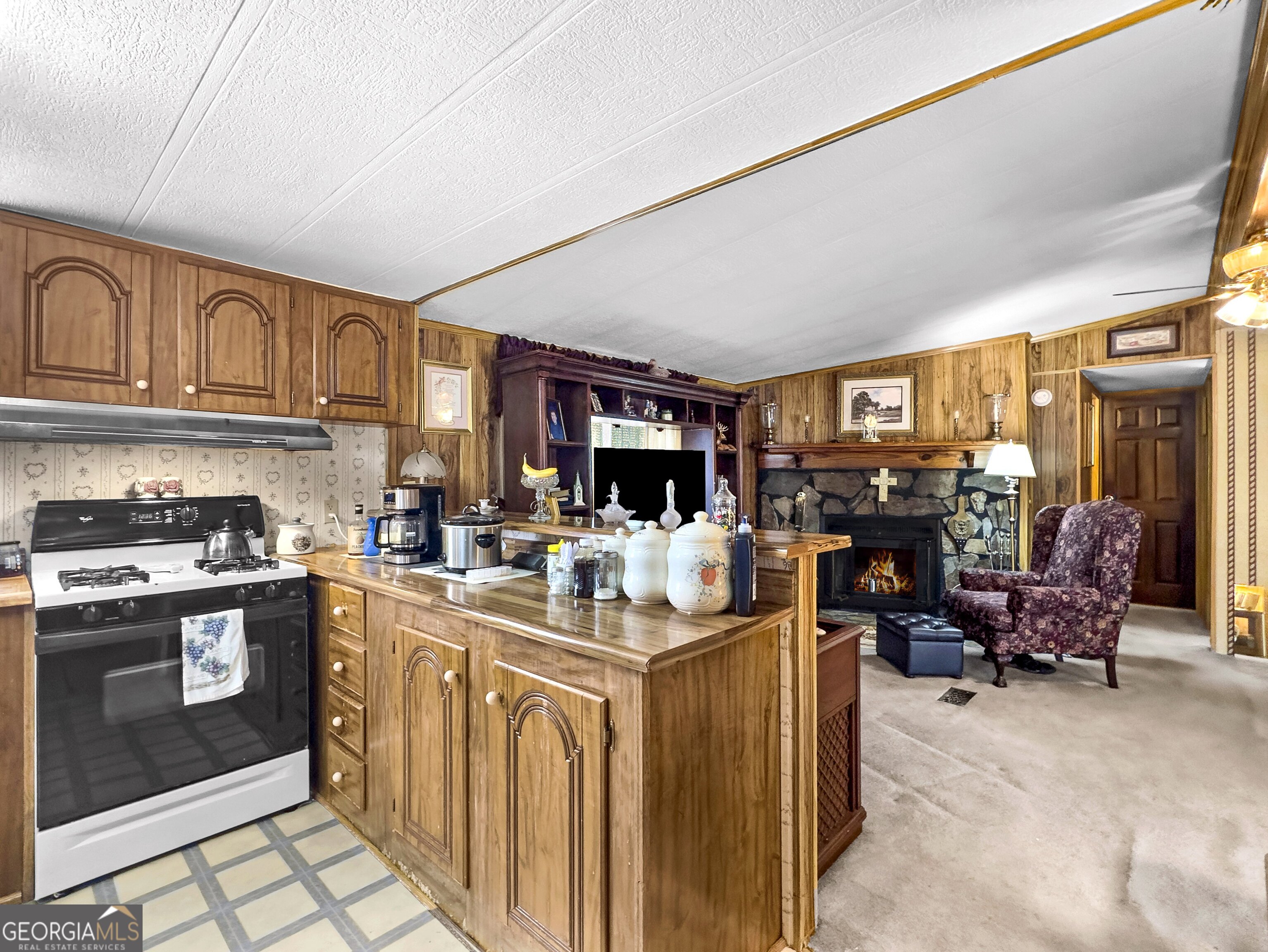 451 Weldon Lake Road Milner, GA 30257 - Photo 25 of 39 a view of kitchen with stainless steel appliances granite countertop sink stove and cabinets
