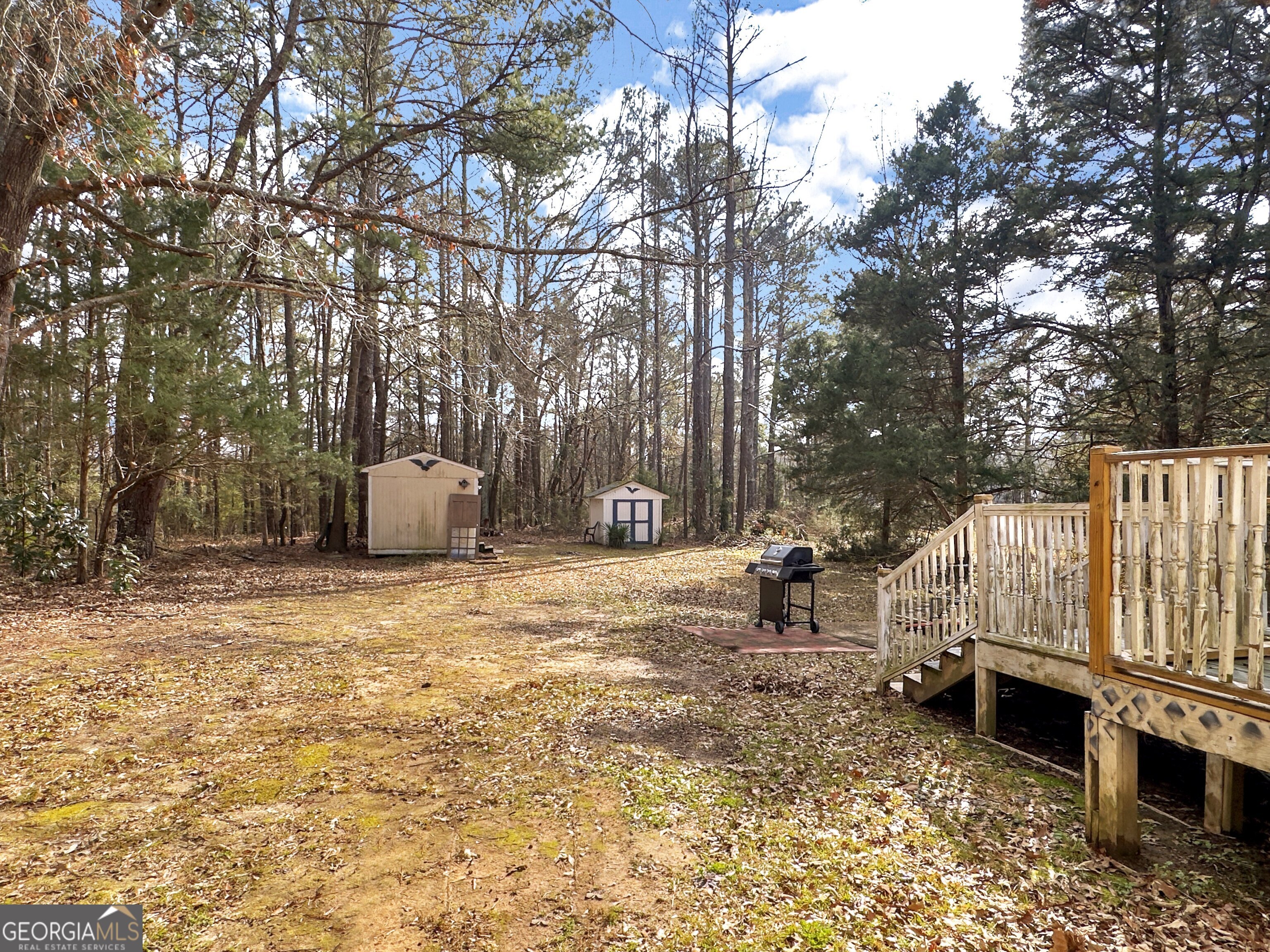 451 Weldon Lake Road Milner, GA 30257 - Photo 33 of 39 a house view with backyard space