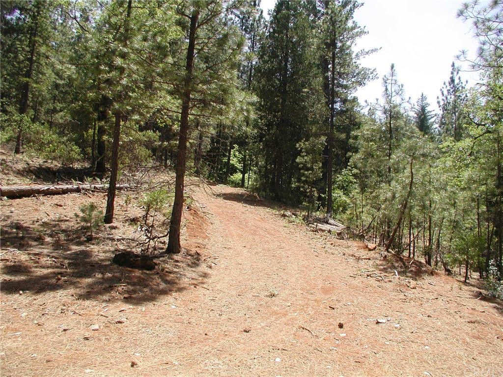 7 Bagshot Road Forest Ranch, CA 95942 - Photo 1 of 1 Gallery Image 1