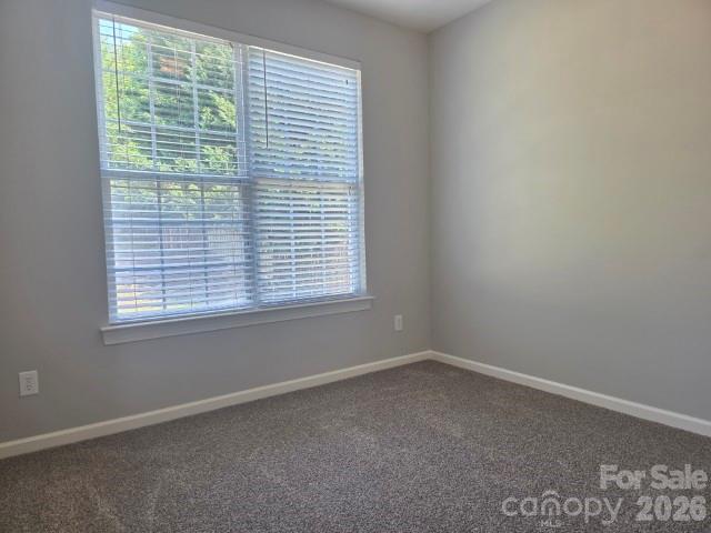 10415 Newbridge Road Charlotte, NC 28278 - Photo 12 of 29 Gallery Image 12