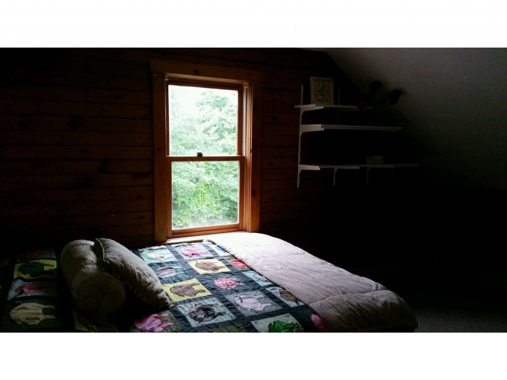 1007 Gorham Pond Road Dunbarton, NH 03046 - Photo 4 of 14