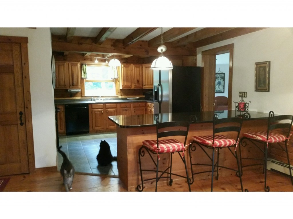 1007 Gorham Pond Road Dunbarton, NH 03046 - Photo 6 of 14