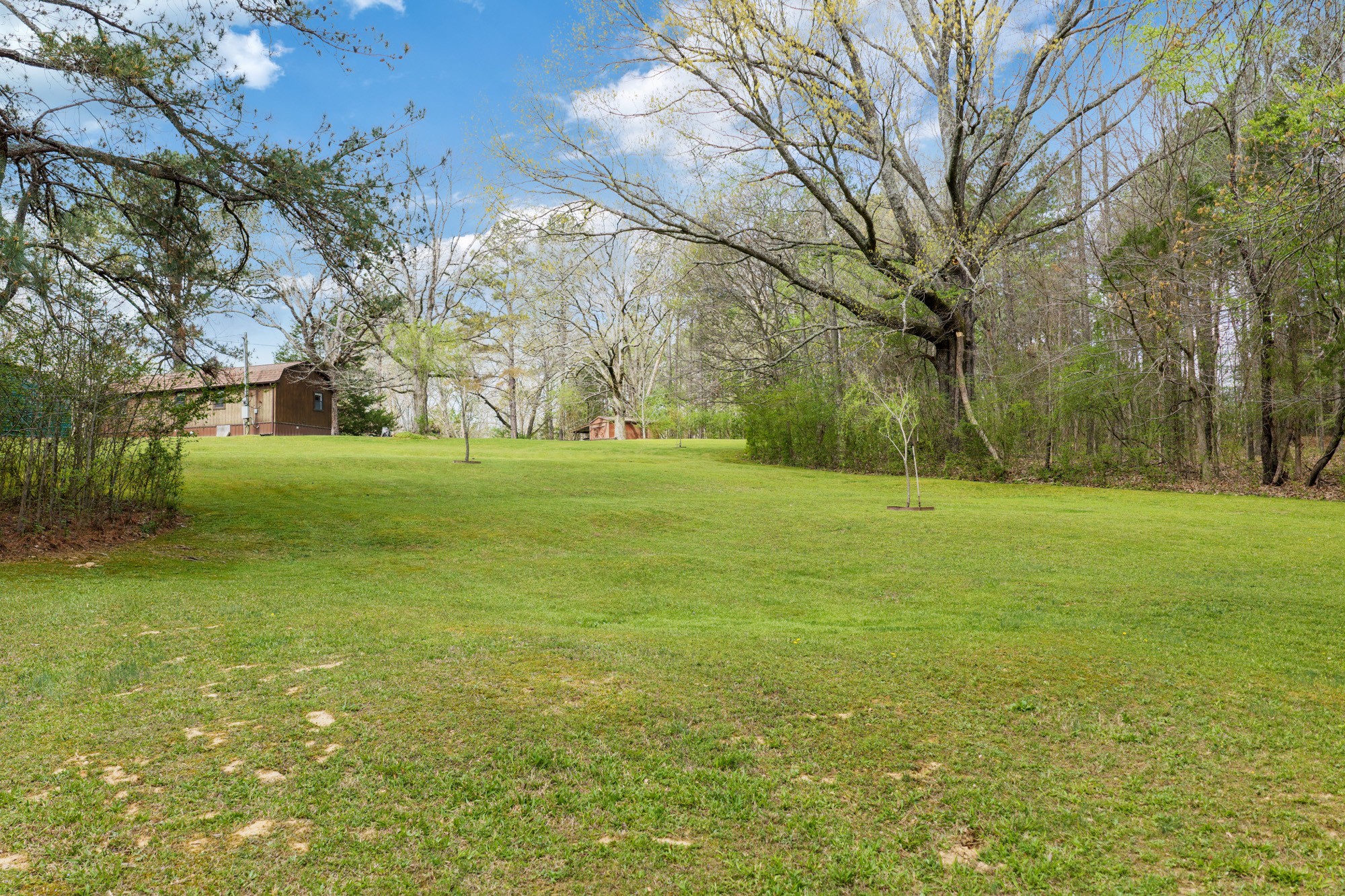 295 Kay Street Big Sandy, TN 38221 - Photo 27 of 42