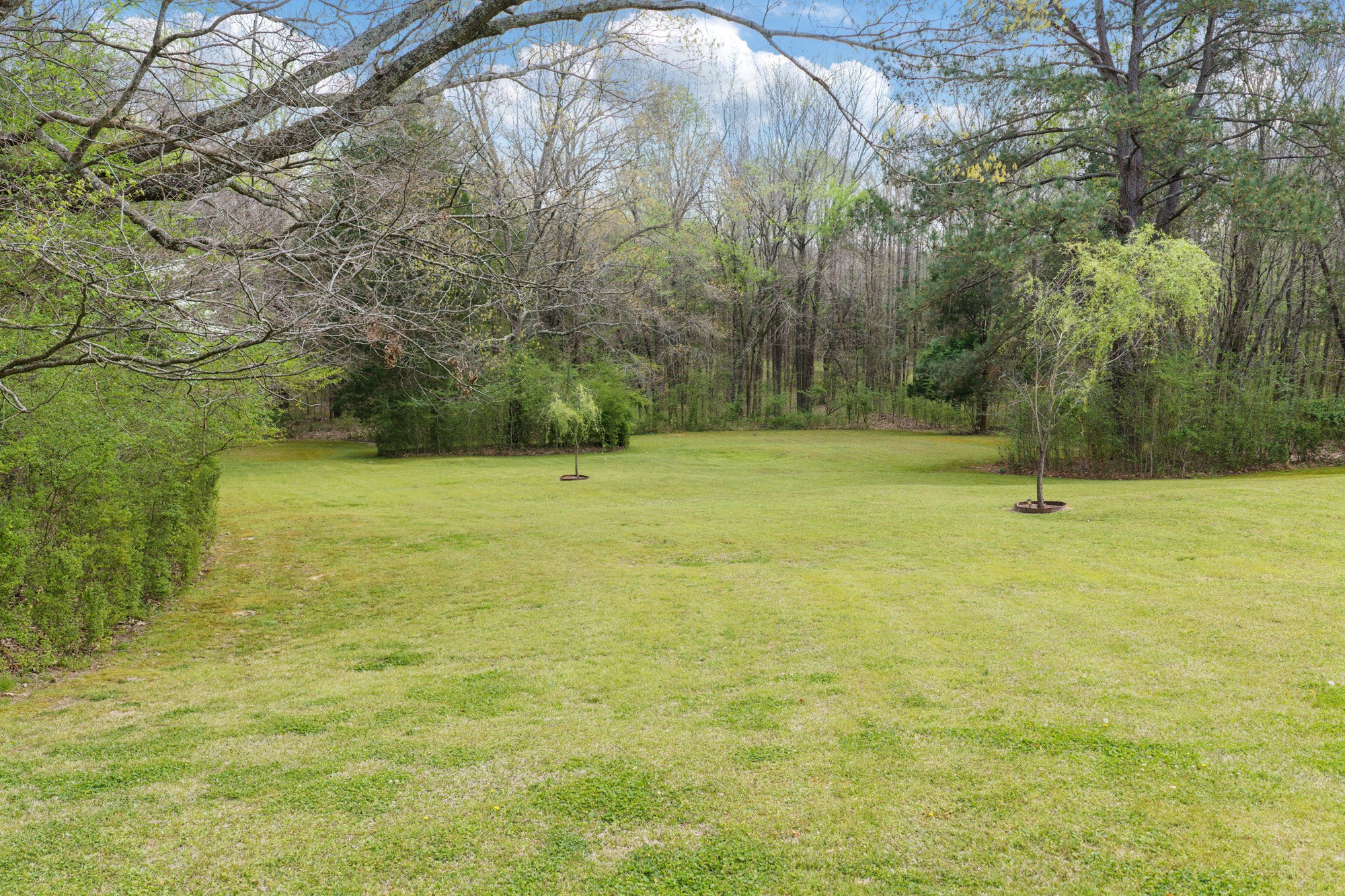 295 Kay Street Big Sandy, TN 38221 - Photo 6 of 42
