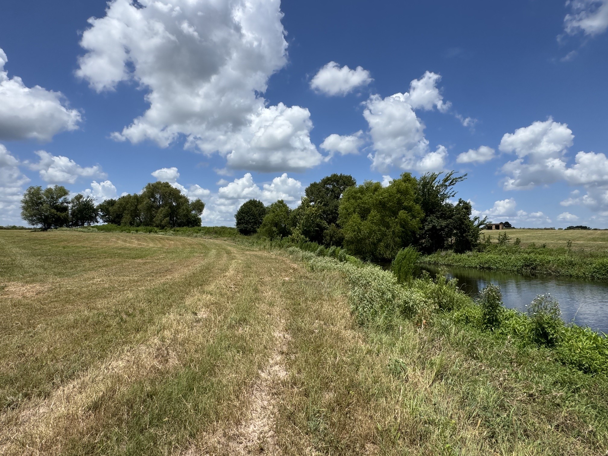 24233 Nine Bar Road Hempstead, TX 77445 - Photo 4 of 16 Gallery Image 4
