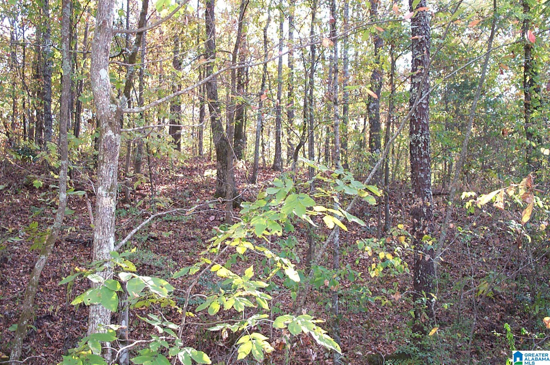850 Sardis Road, Unit 1 Ashland, AL 36251 - Photo 5 of 10