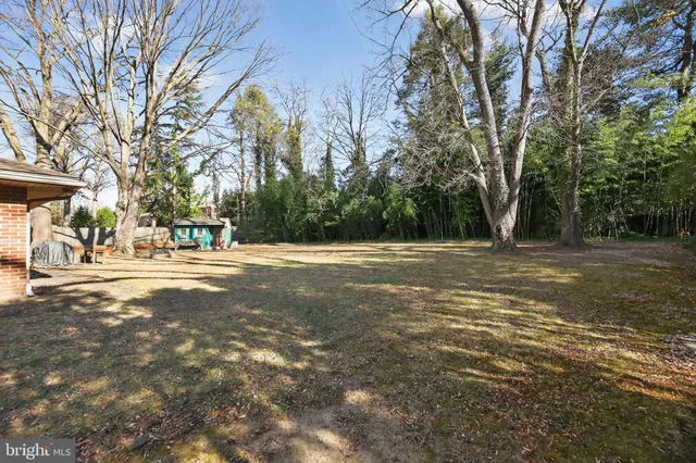 a view of road with large trees