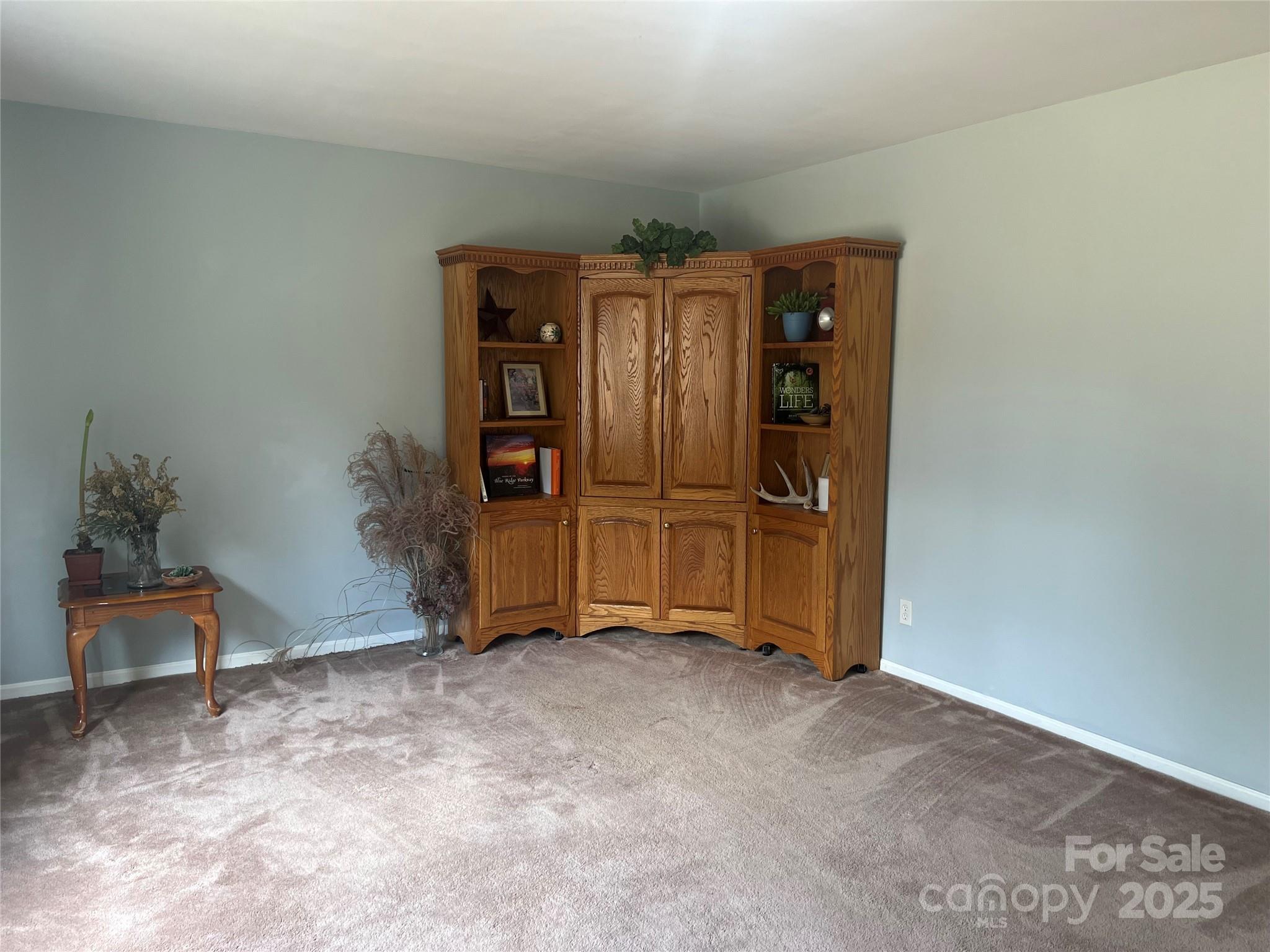 3870 Kanuga Road Hendersonville, NC 28739 - Photo 9 of 35 Gallery Image 9