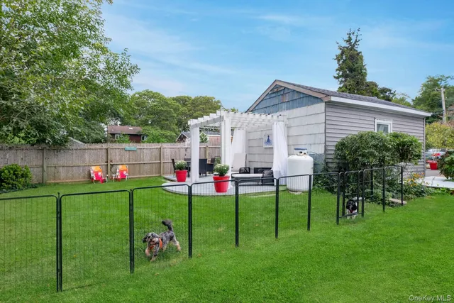 a view of a backyard with a garden and plants