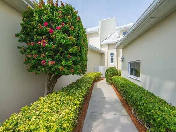 a view of a house with potted plants