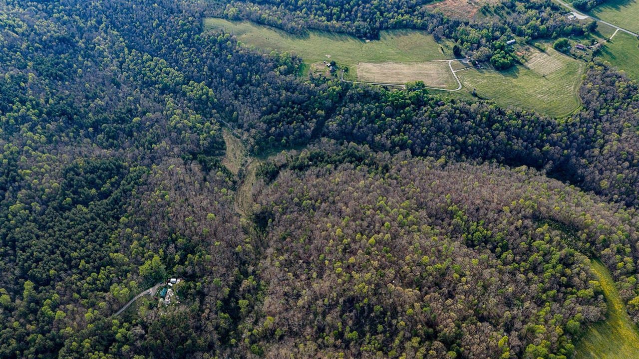 0 West Vincent Road Bee Spring, KY 42207 - Photo 5 of 9 Gallery Image 5