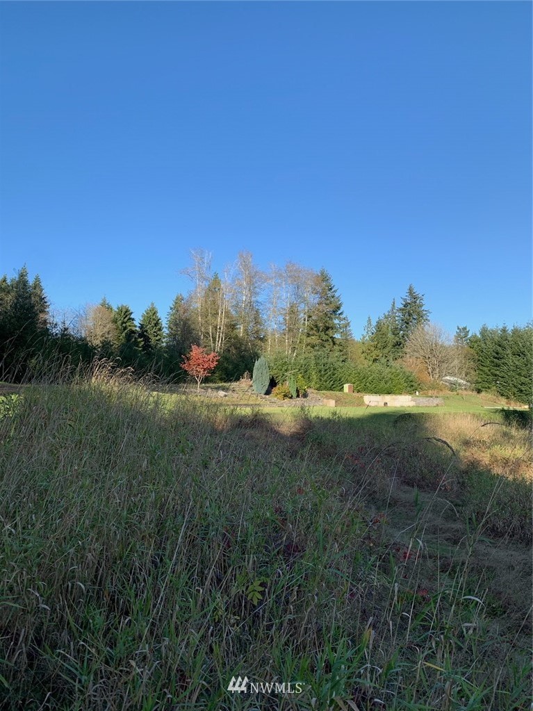67 Hicklin Road Elma, WA 98541 - Photo 1 of 18 Gallery Image 1