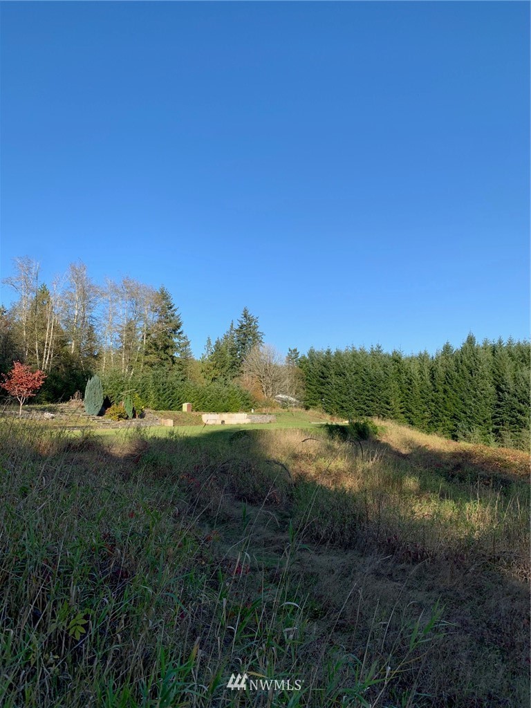 67 Hicklin Road Elma, WA 98541 - Photo 2 of 18 Gallery Image 2