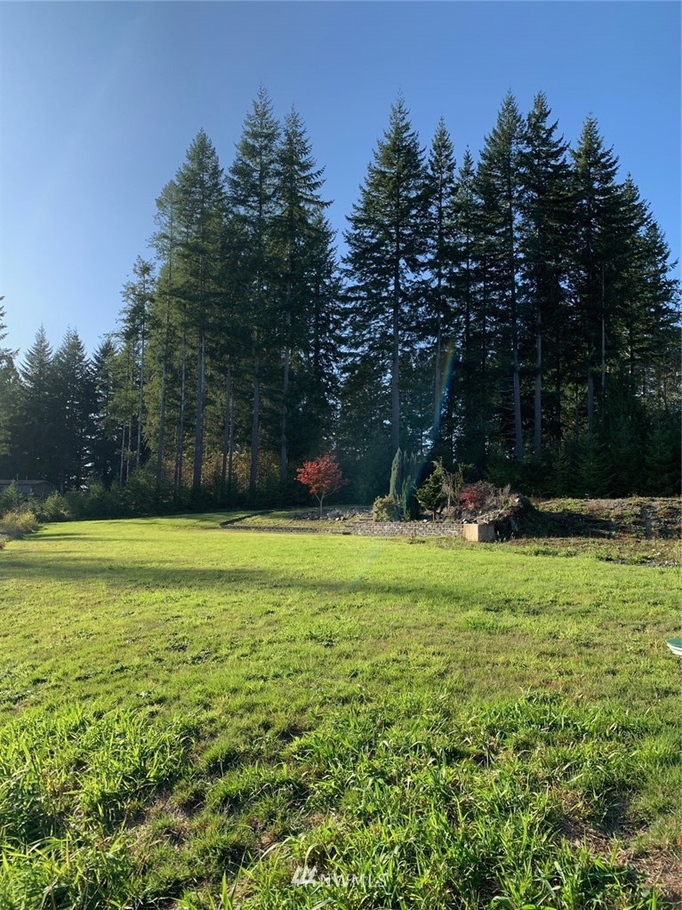 67 Hicklin Road Elma, WA 98541 - Photo 11 of 18 Gallery Image 11