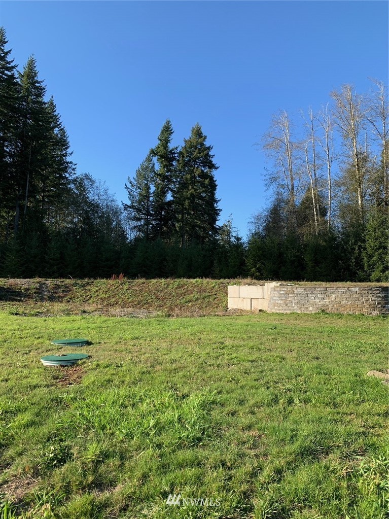 67 Hicklin Road Elma, WA 98541 - Photo 12 of 18 Gallery Image 12
