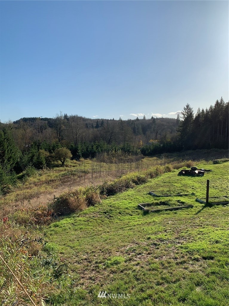 67 Hicklin Road Elma, WA 98541 - Photo 15 of 18 Gallery Image 15