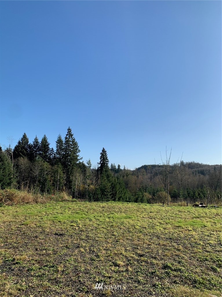 67 Hicklin Road Elma, WA 98541 - Photo 16 of 18 Gallery Image 16