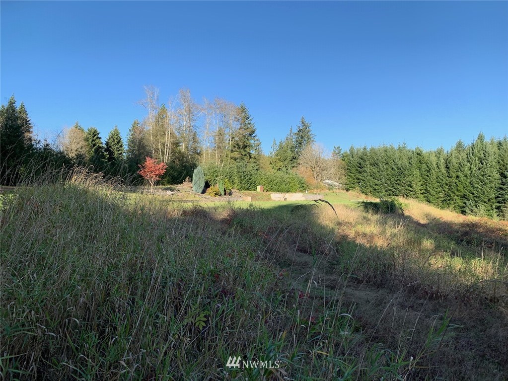 67 Hicklin Road Elma, WA 98541 - Photo 3 of 18 Gallery Image 3