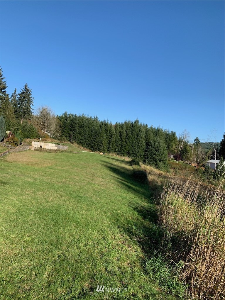 67 Hicklin Road Elma, WA 98541 - Photo 4 of 18 Gallery Image 4