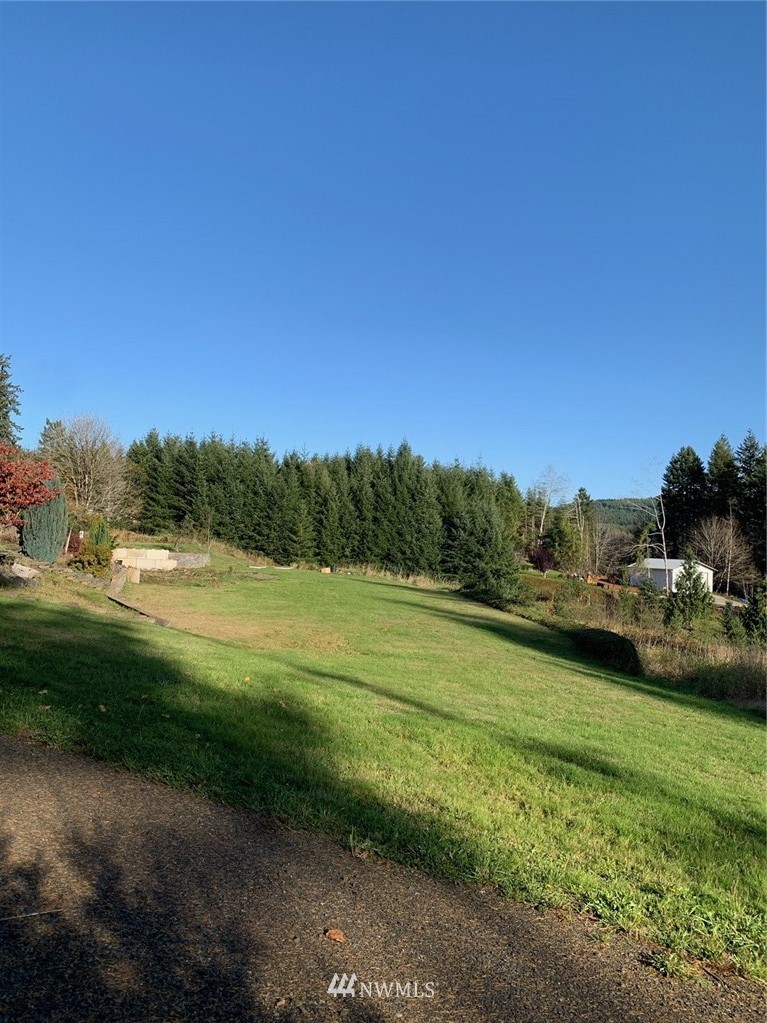 67 Hicklin Road Elma, WA 98541 - Photo 5 of 18 Gallery Image 5