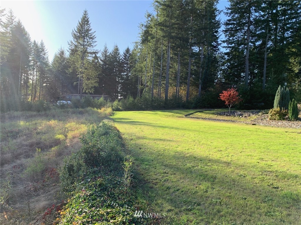 67 Hicklin Road Elma, WA 98541 - Photo 6 of 18 Gallery Image 6