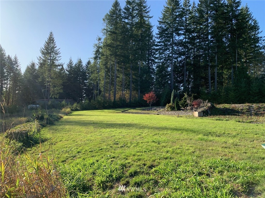 67 Hicklin Road Elma, WA 98541 - Photo 10 of 18 Gallery Image 10