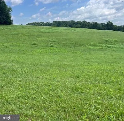 a view of a field with an trees in the background