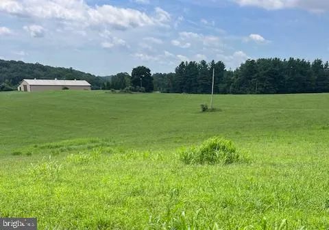 a view of a terrace with a garden and trees