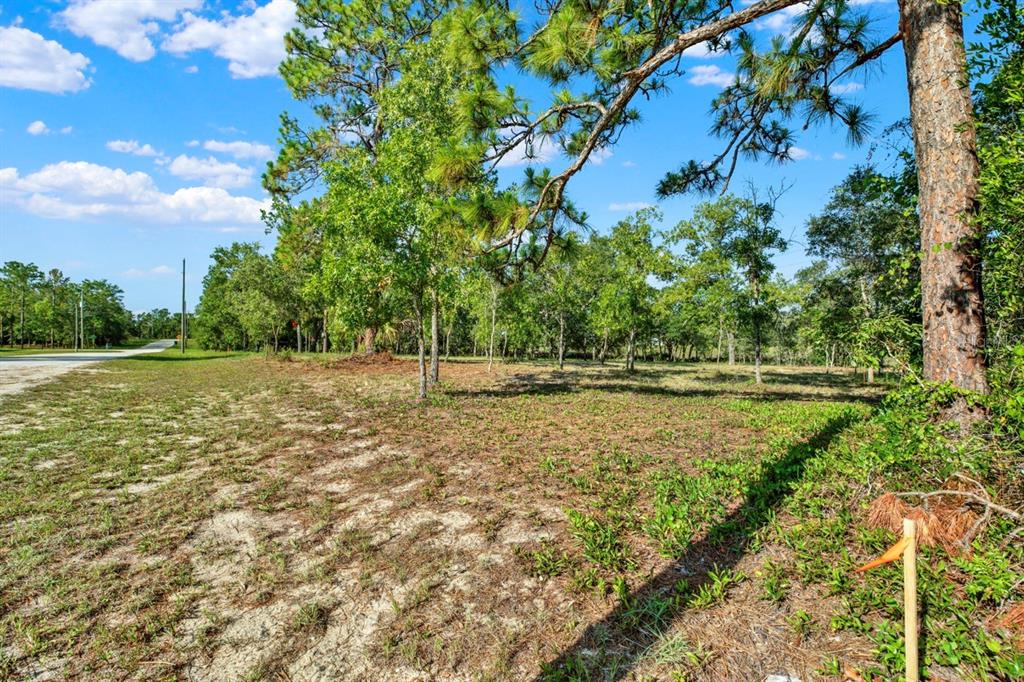 0 Condor Road Brooksville, FL 34614 - Photo 7 of 19