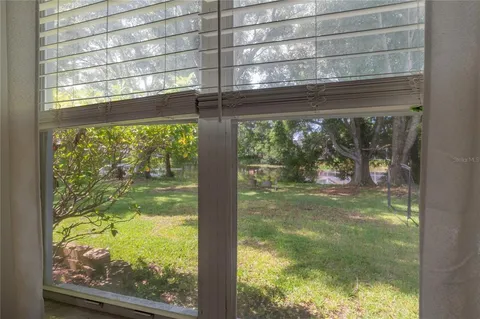 a view of a yard with a tree