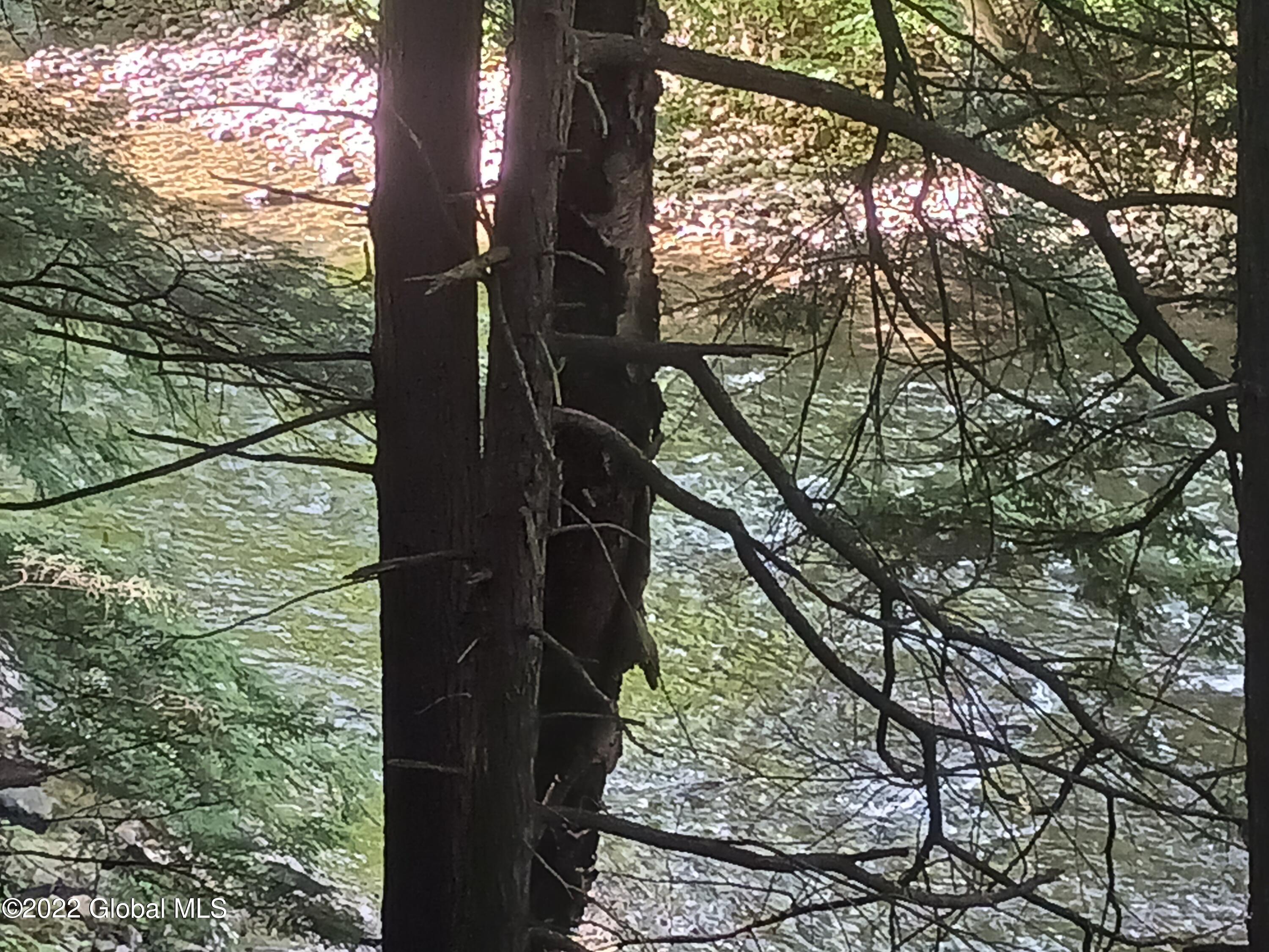 22 Hoosick Junction Road Hoosick Falls, NY 12090 - Photo 13 of 34 river 1