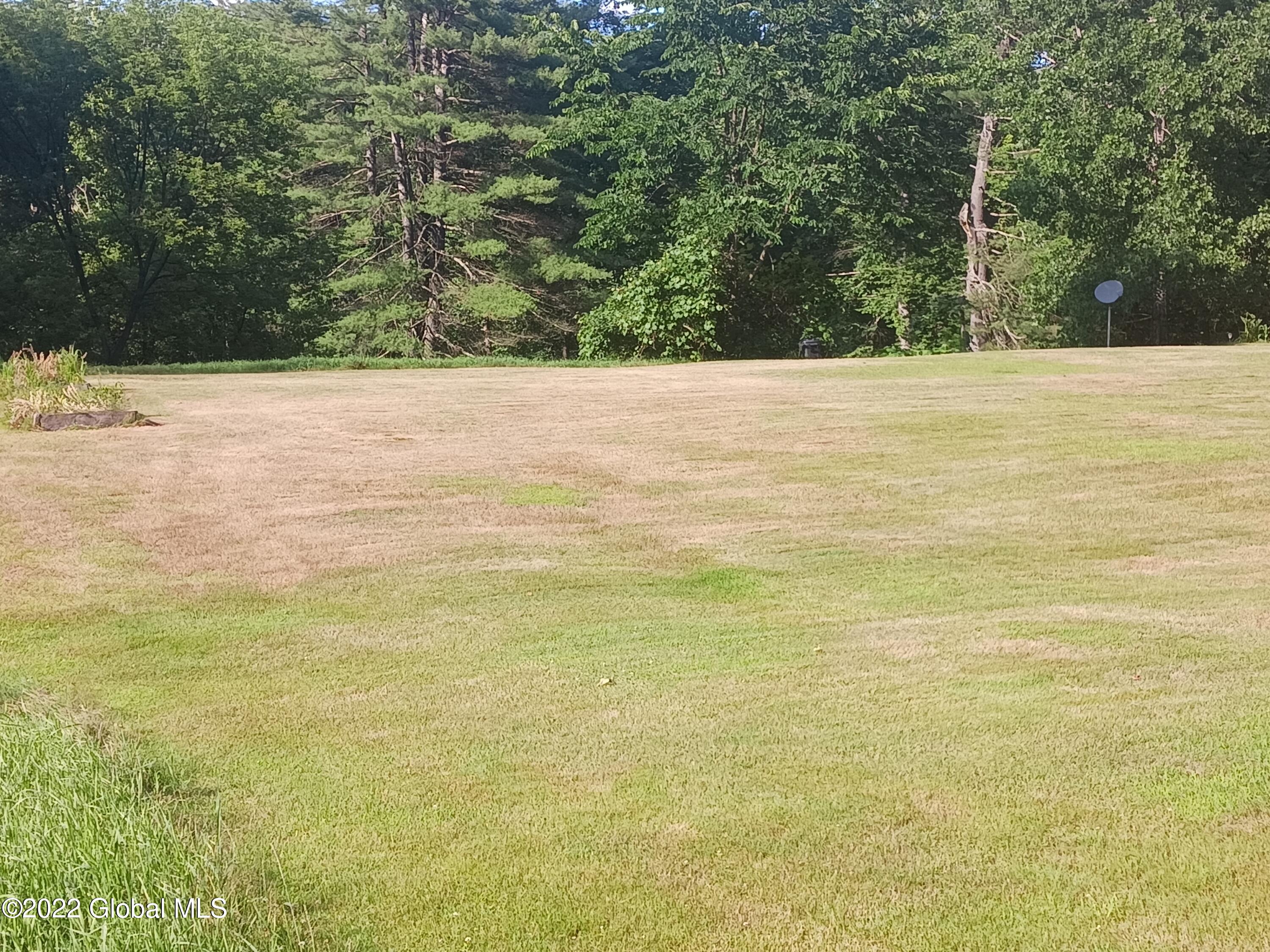 22 Hoosick Junction Road Hoosick Falls, NY 12090 - Photo 21 of 34 yard 1