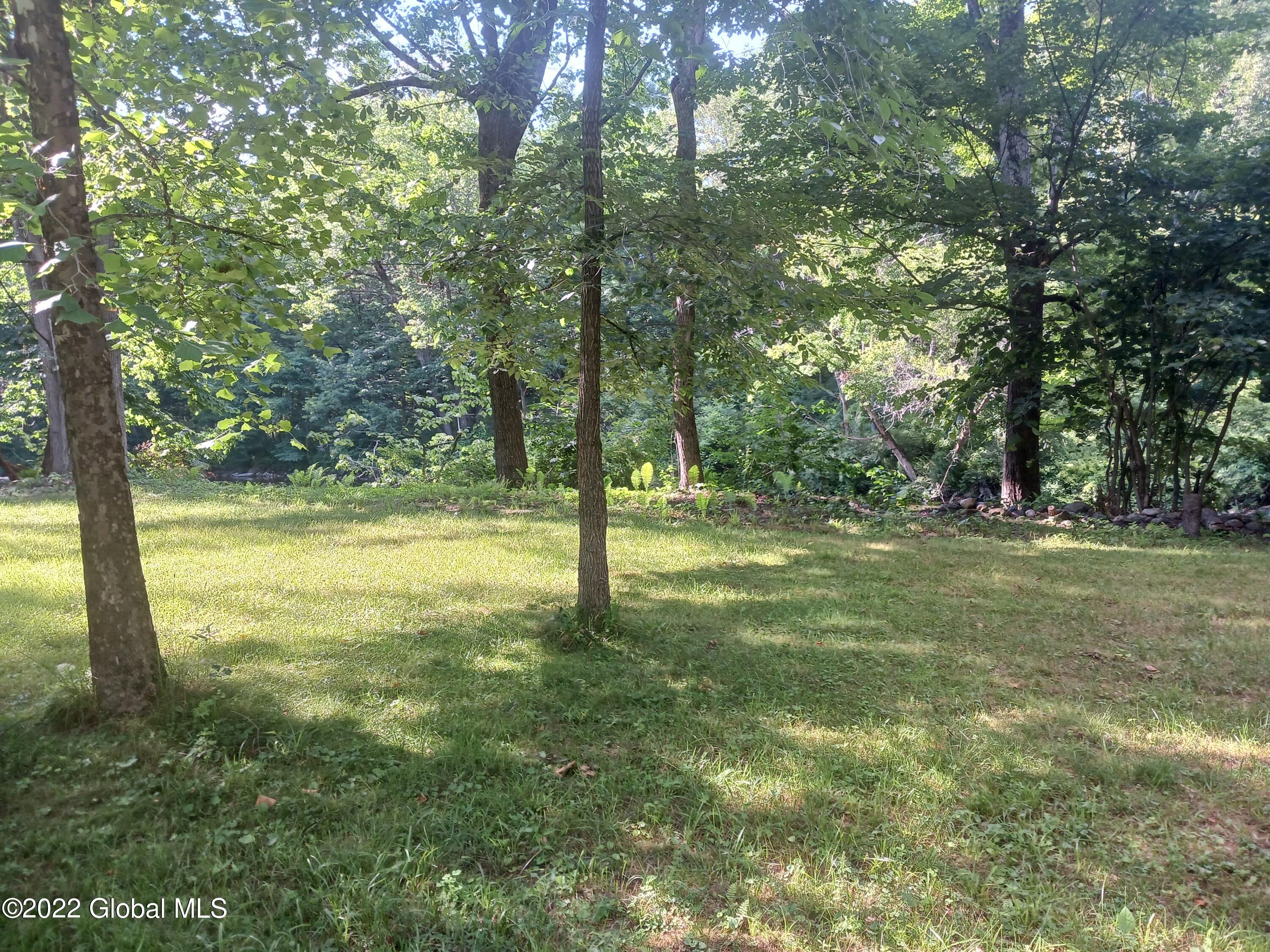 22 Hoosick Junction Road Hoosick Falls, NY 12090 - Photo 22 of 34 yard 2
