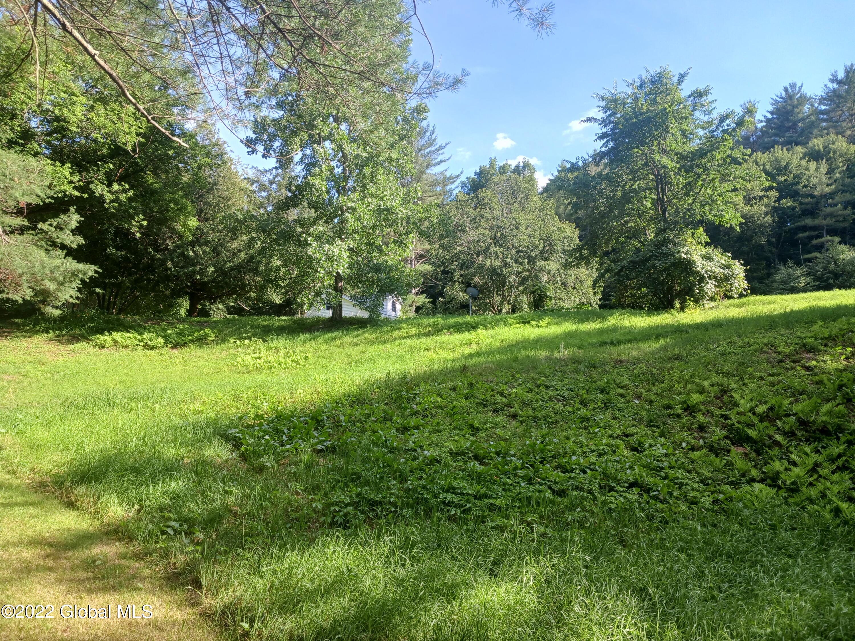 22 Hoosick Junction Road Hoosick Falls, NY 12090 - Photo 23 of 34 yard3
