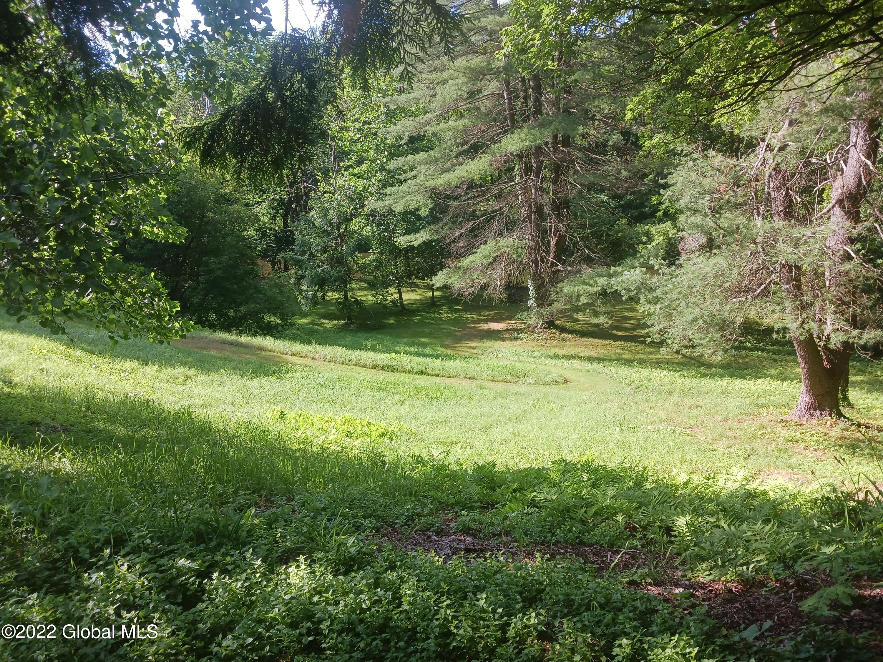 22 Hoosick Junction Road Hoosick Falls, NY 12090 - Photo 24 of 34 yard 4