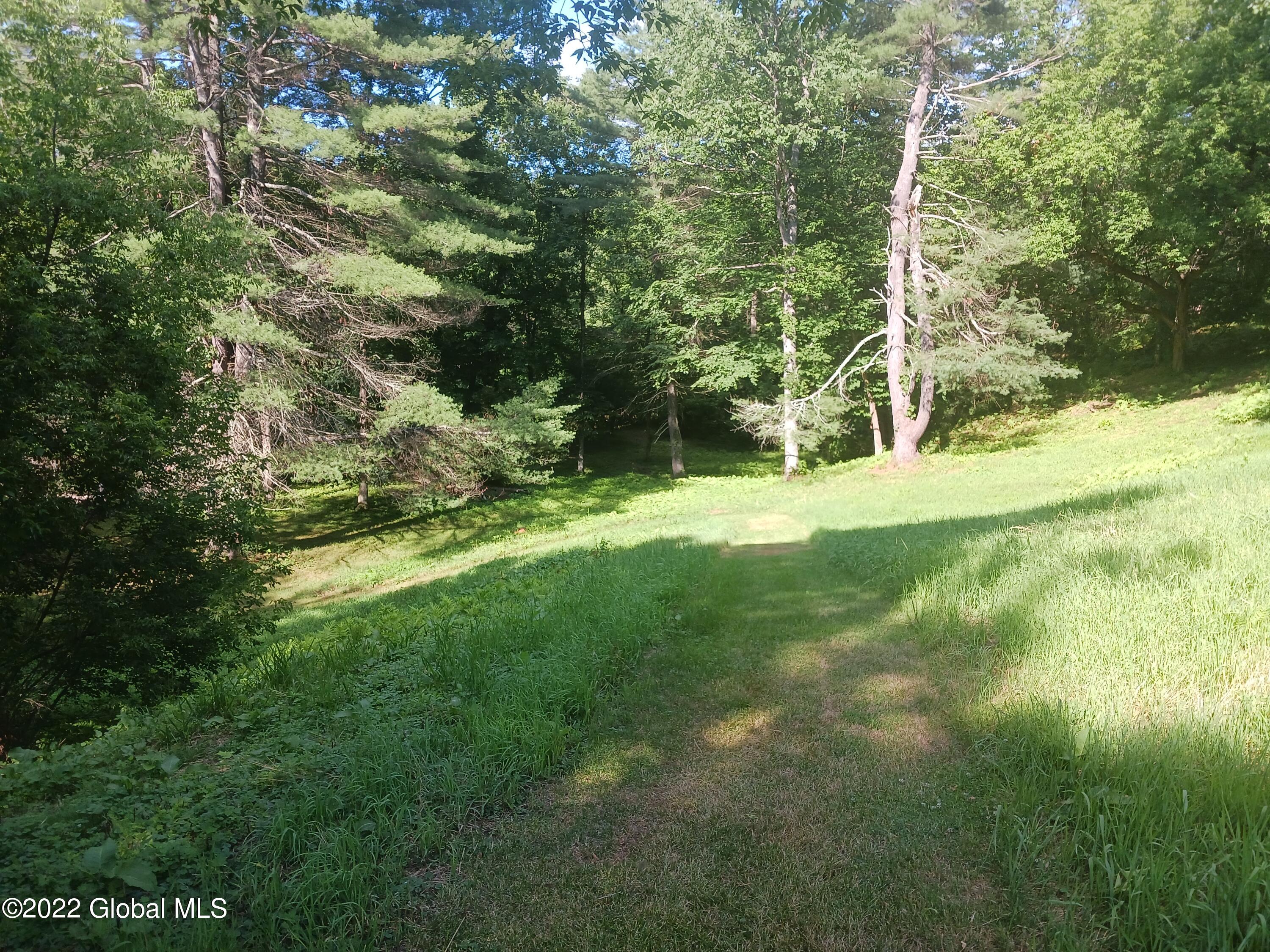 22 Hoosick Junction Road Hoosick Falls, NY 12090 - Photo 25 of 34 yard 5