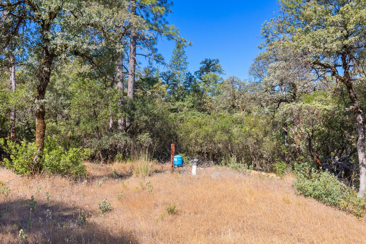 12996 Deadmans Flat Road Grass Valley, CA 95945 - Photo 8 of 12 a view of outdoor space and trees