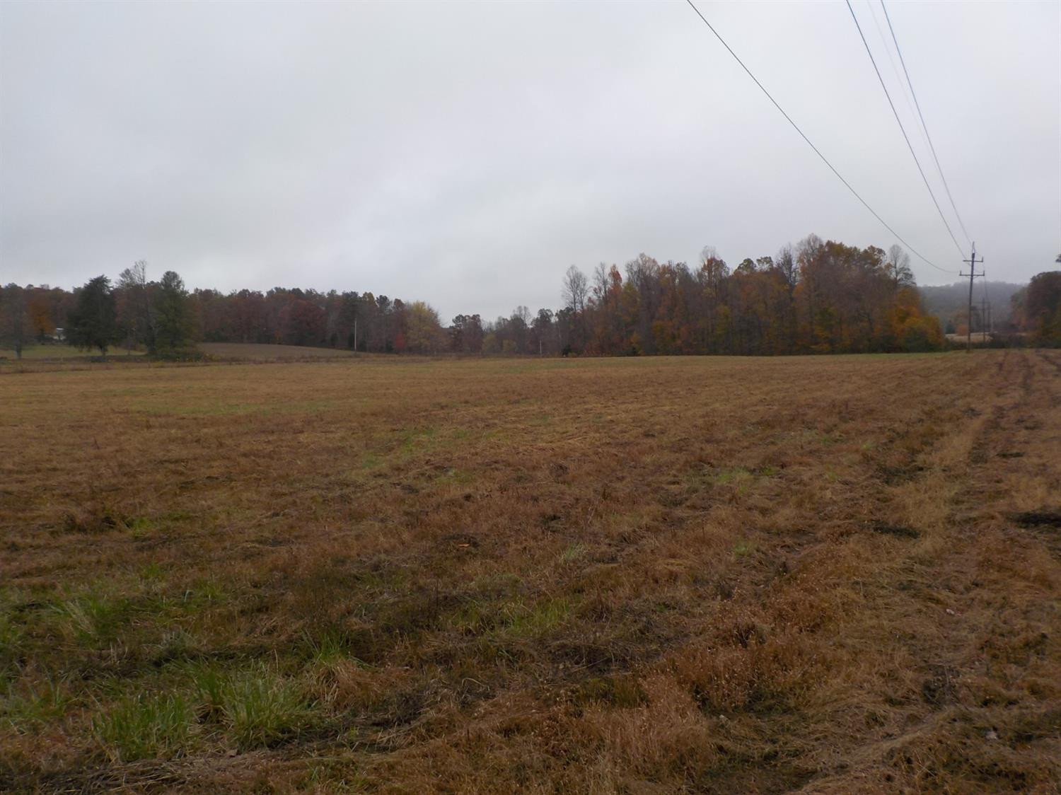 2900 East Fork Road Means, KY 40346 - Photo 9 of 15 Photo 9