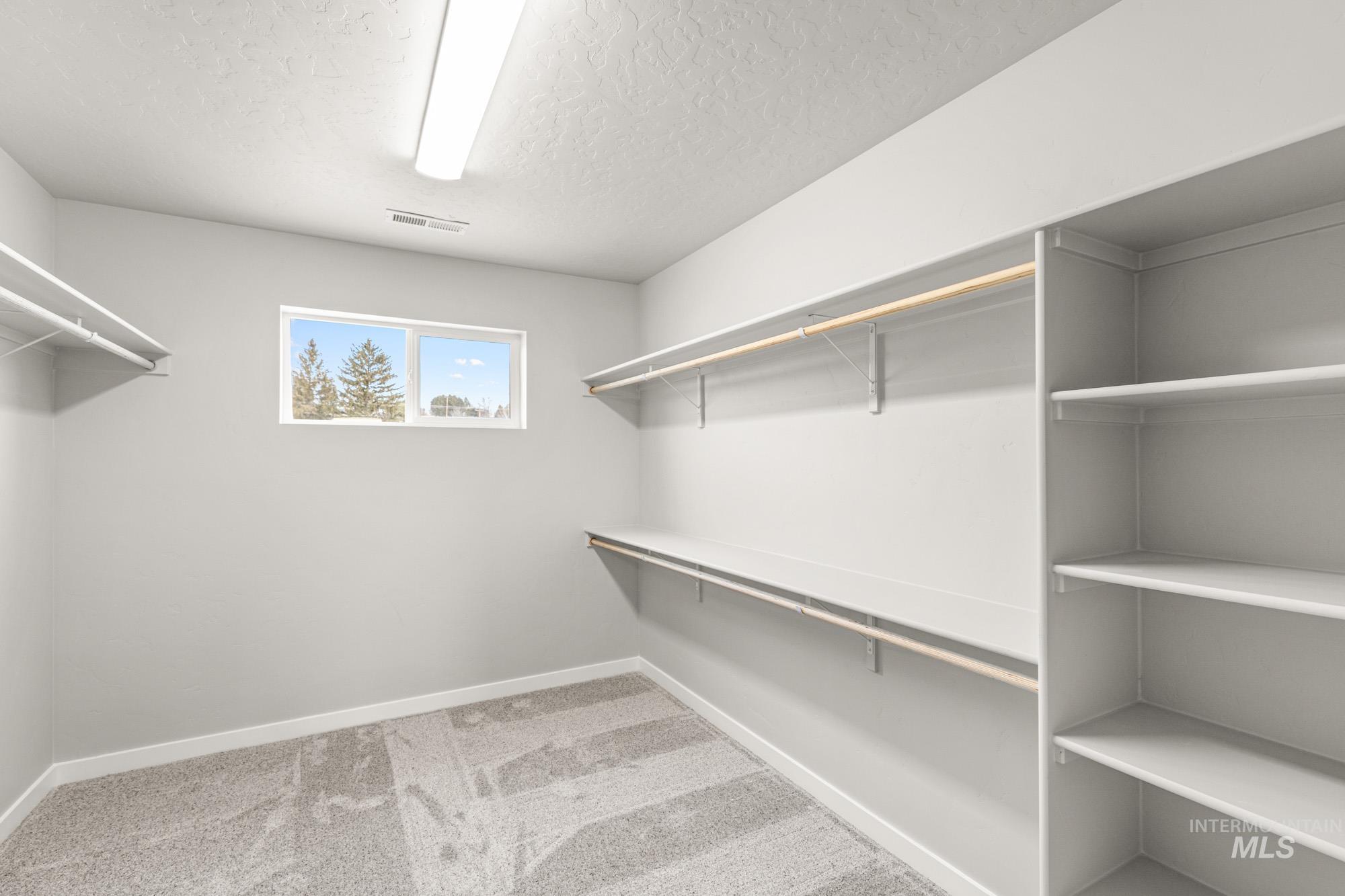 1515 Long Pond Street Middleton, ID 83644 - Photo 17 of 25 Walk in closet with light carpet