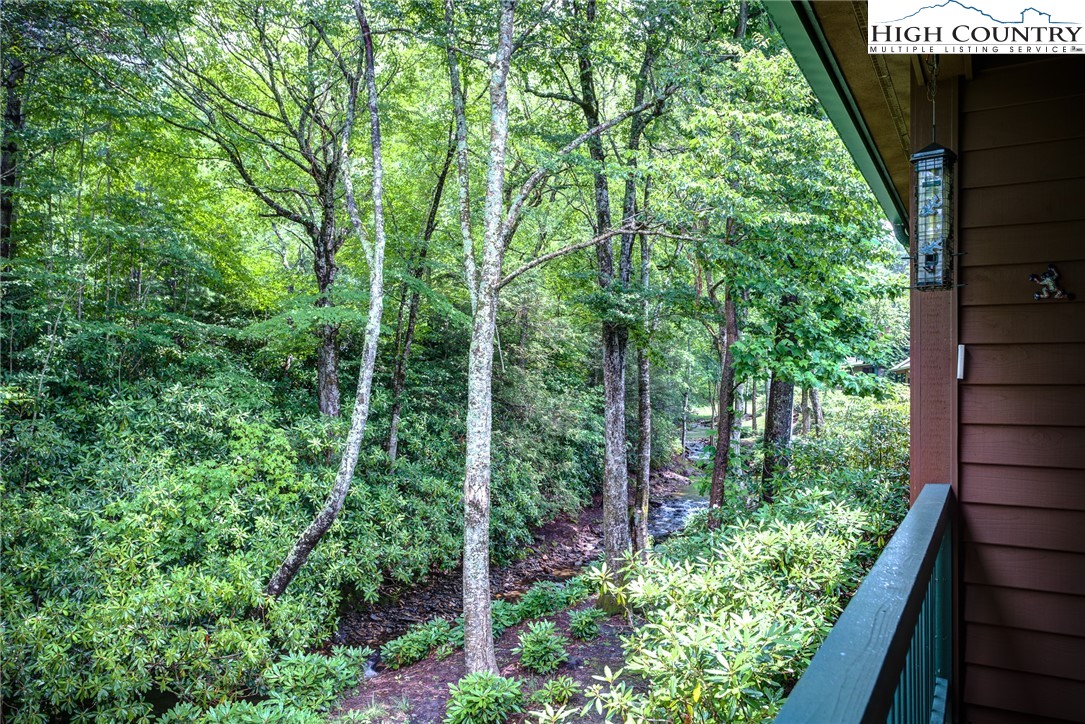 101 Clary Court, Unit 101 Blowing Rock, NC 28605 - Photo 28 of 39