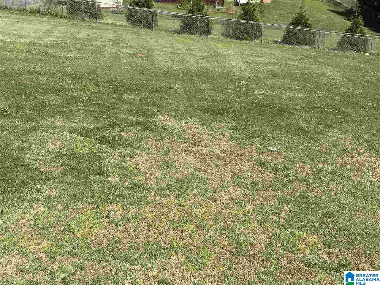 904 Ransome Drive Oneonta, AL 35121 - Photo 33 of 33