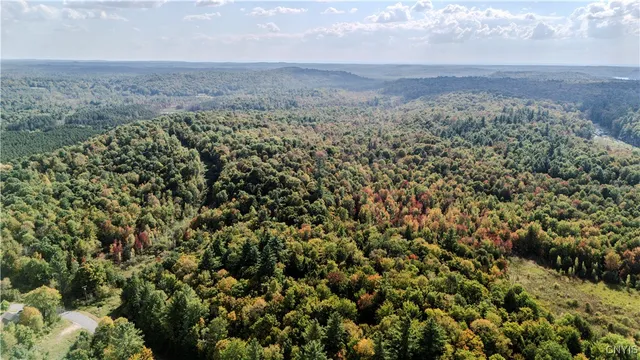 $55,000 | Lot C Corbine Road, Harrisville, NY 13648