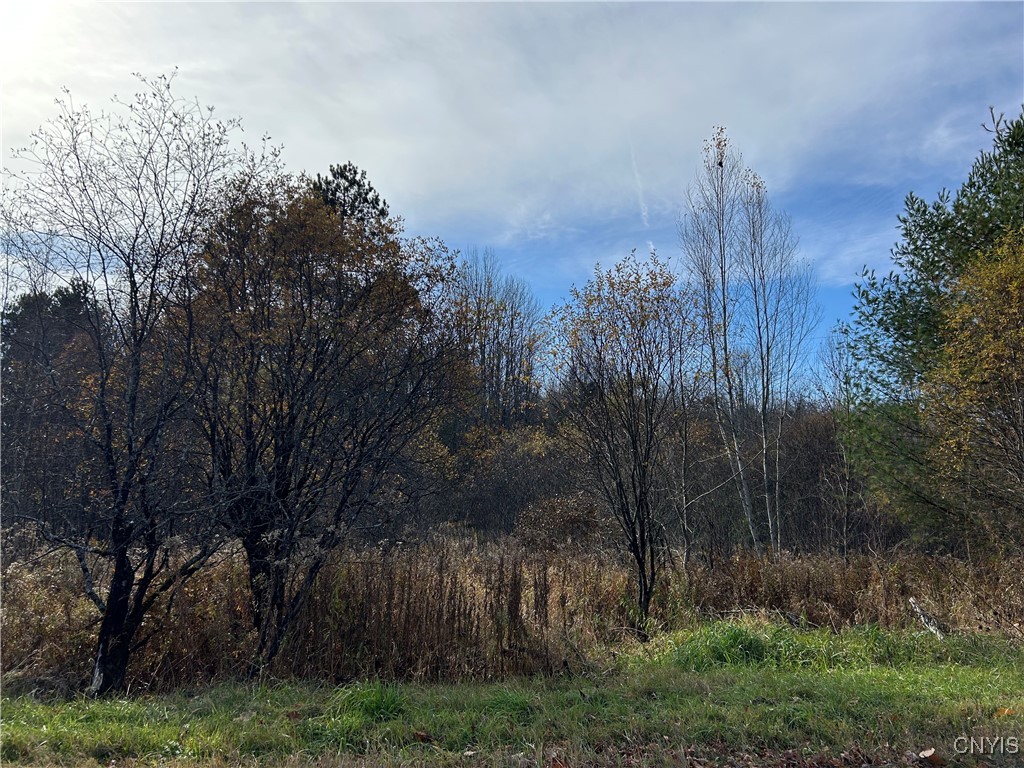 Lot C Corbine Road Harrisville, NY 13648 - Photo 8 of 8