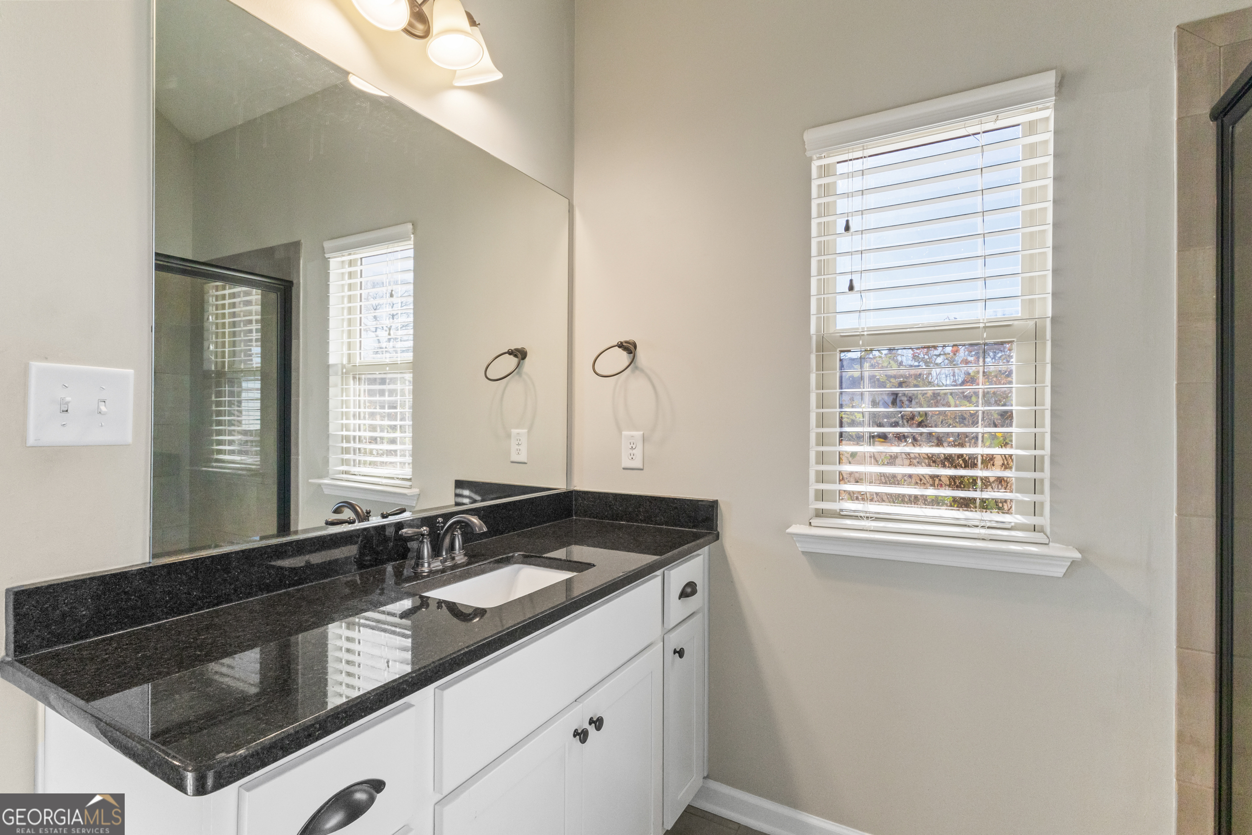 100 Wet Stone Road Senoia, GA 30276 - Photo 23 of 54 a bathroom with a sink and a mirror