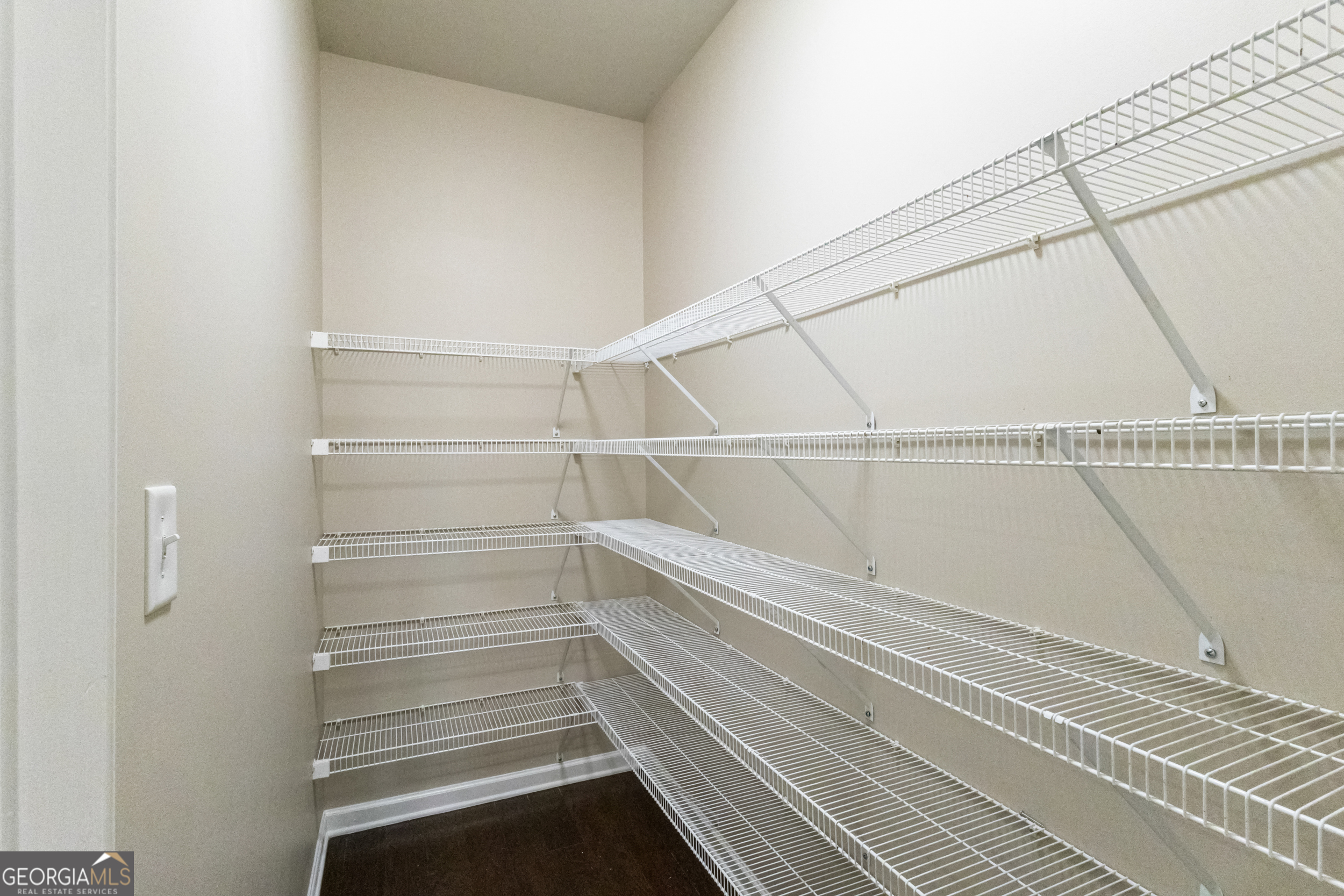 100 Wet Stone Road Senoia, GA 30276 - Photo 29 of 54 a view of walk in closet